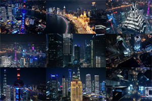 上海的鸟类观察胜地